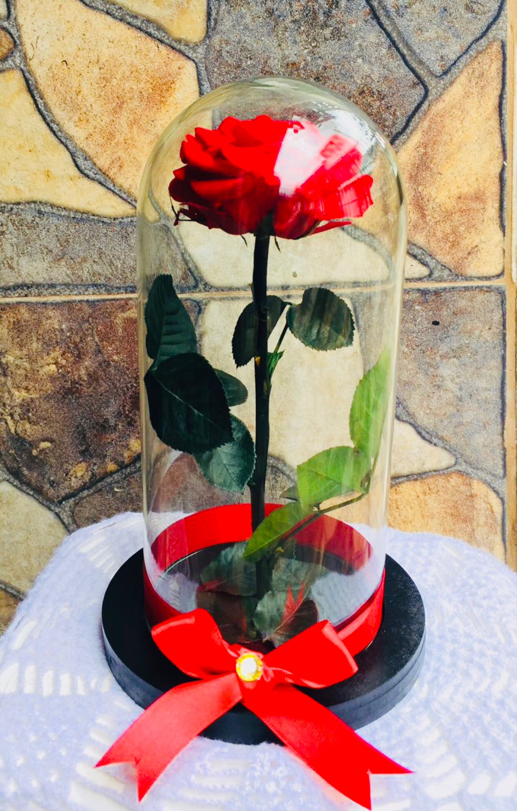 ROSA ENCANTADA (Preservada) 🫨❤️🌹