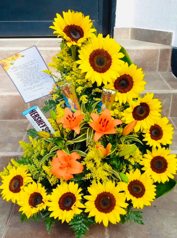 LUNA DE GIRASOLES 🌻
