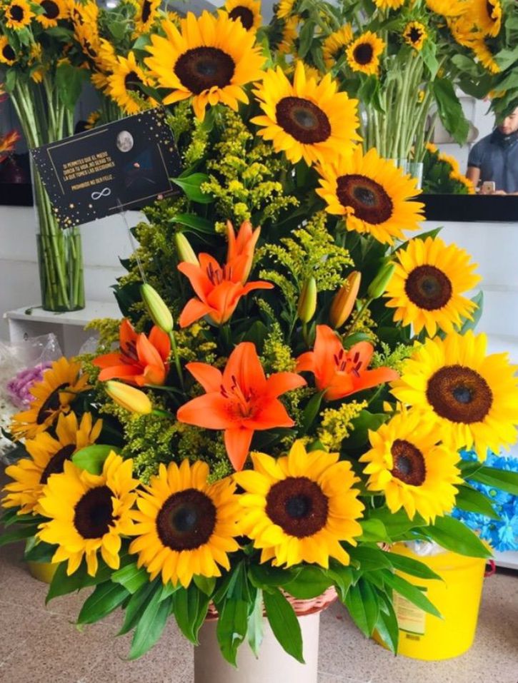 LUNA DE GIRASOLES 🌻