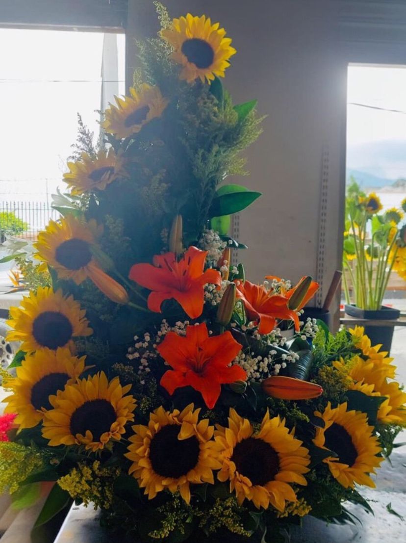 LUNA DE GIRASOLES 🌻